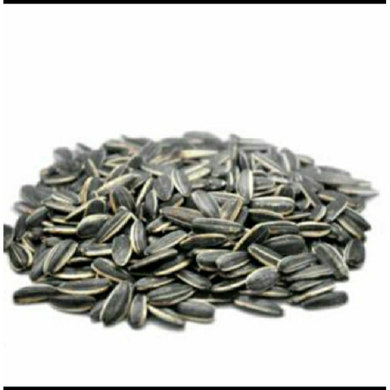 

PROMO 250 GRAM BIJI KUACI MATAHARI DAGING TEBAL