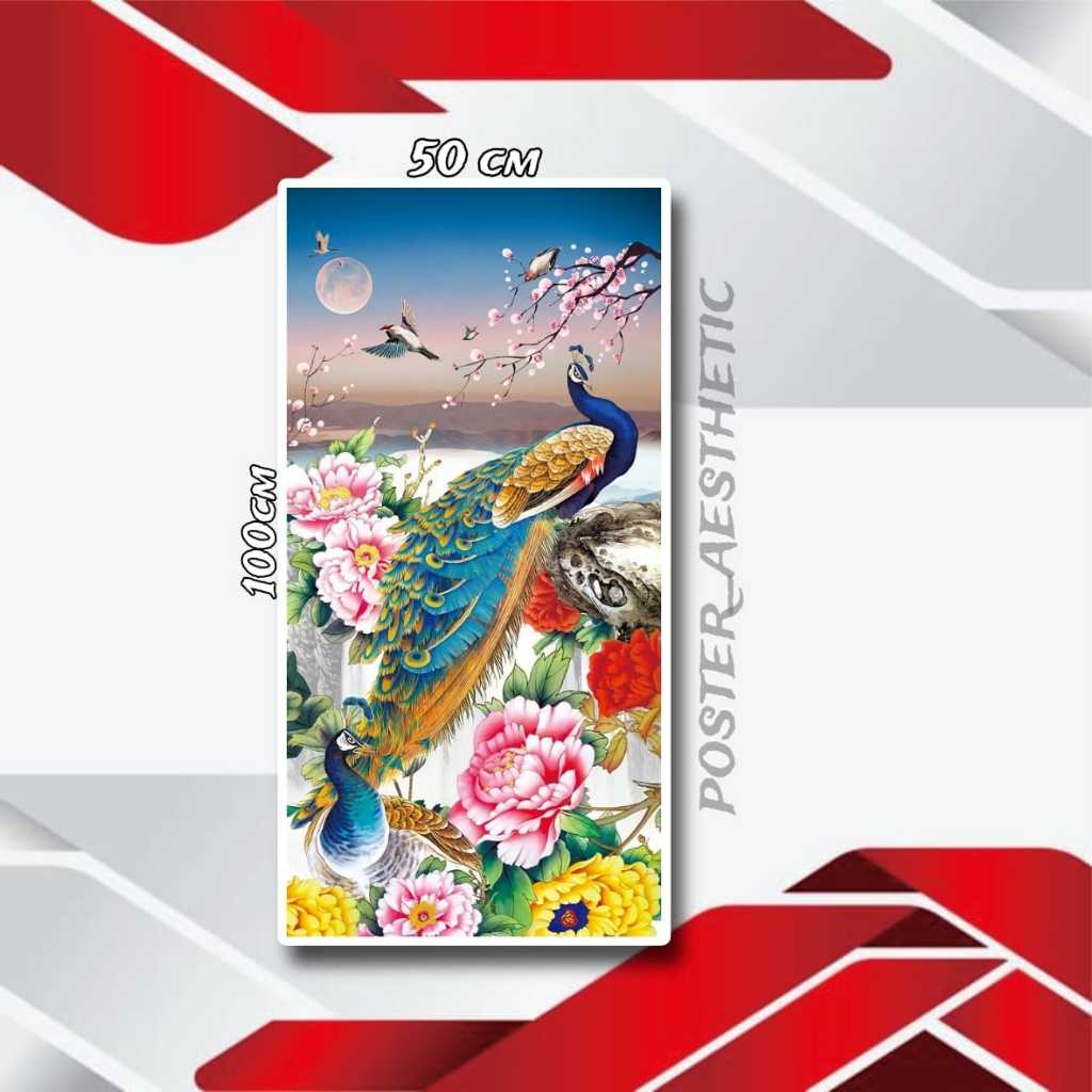 DEKORASI DINDING POSTER JUMBO FOTO BURUNG MERAK UKURAN 50X100CM 100X200CM XTRA JUMBO + BINGKAI