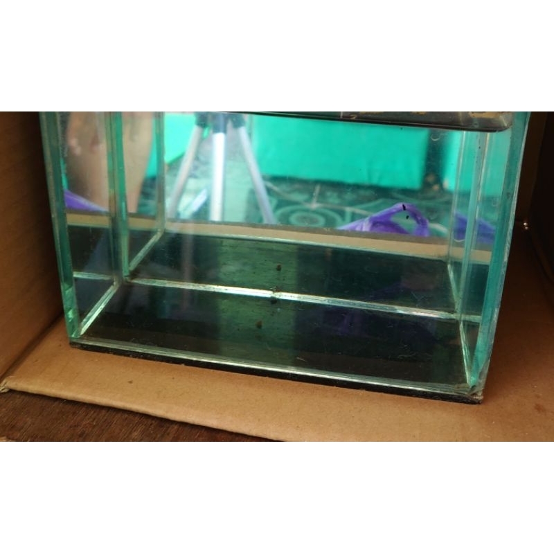aquarium avatar copper