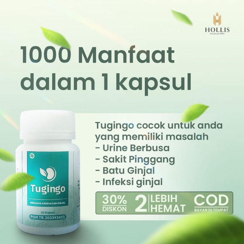 Hollis Tugingo Obat Herbal Batu Ginjal Tugingo 30 KapsulOriginal BPOM