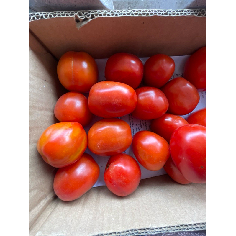 

bumbu buah masakan