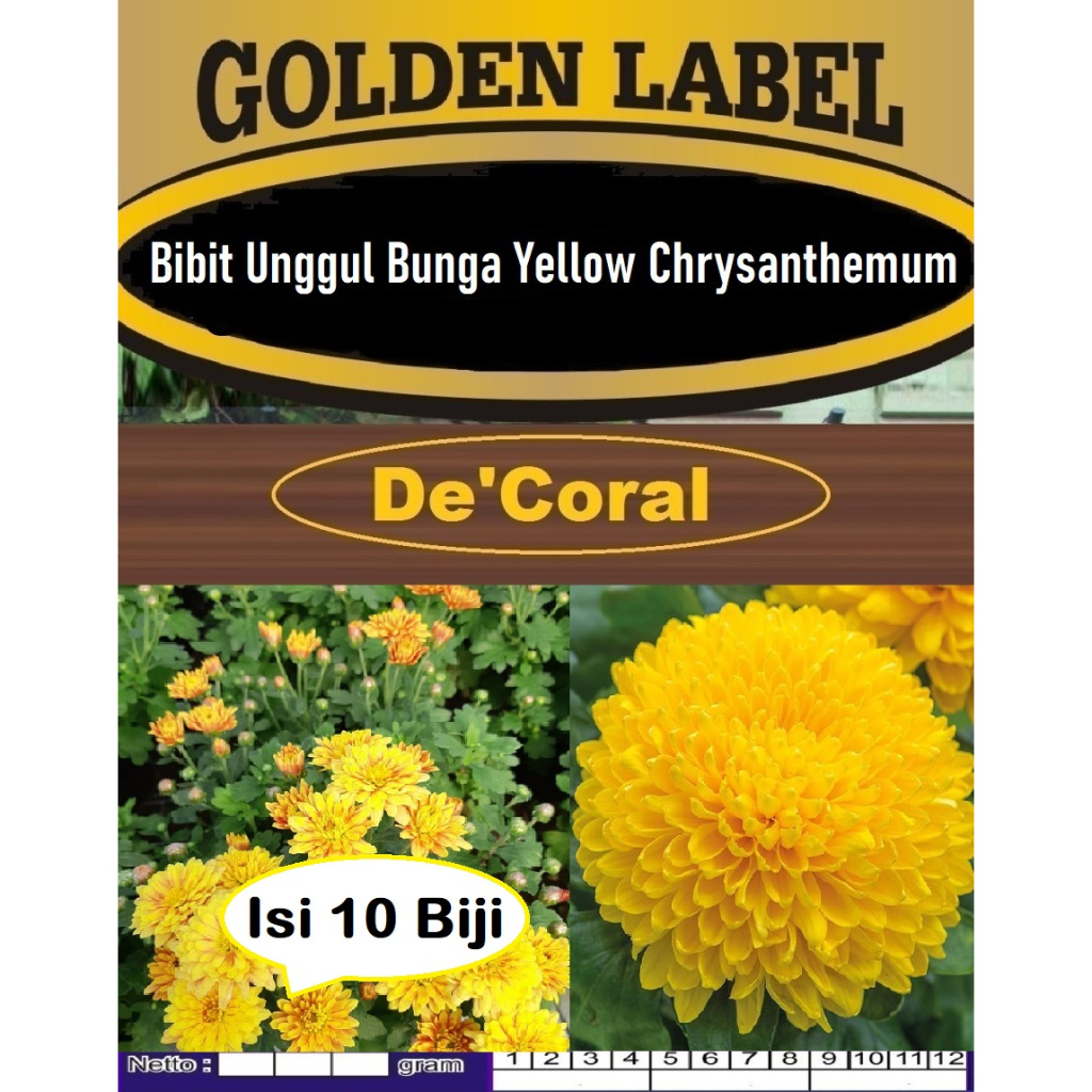 Bibit Unggul Bunga Yellow Chrysanthemum | Biji Benih Bunga Krisan Kuning