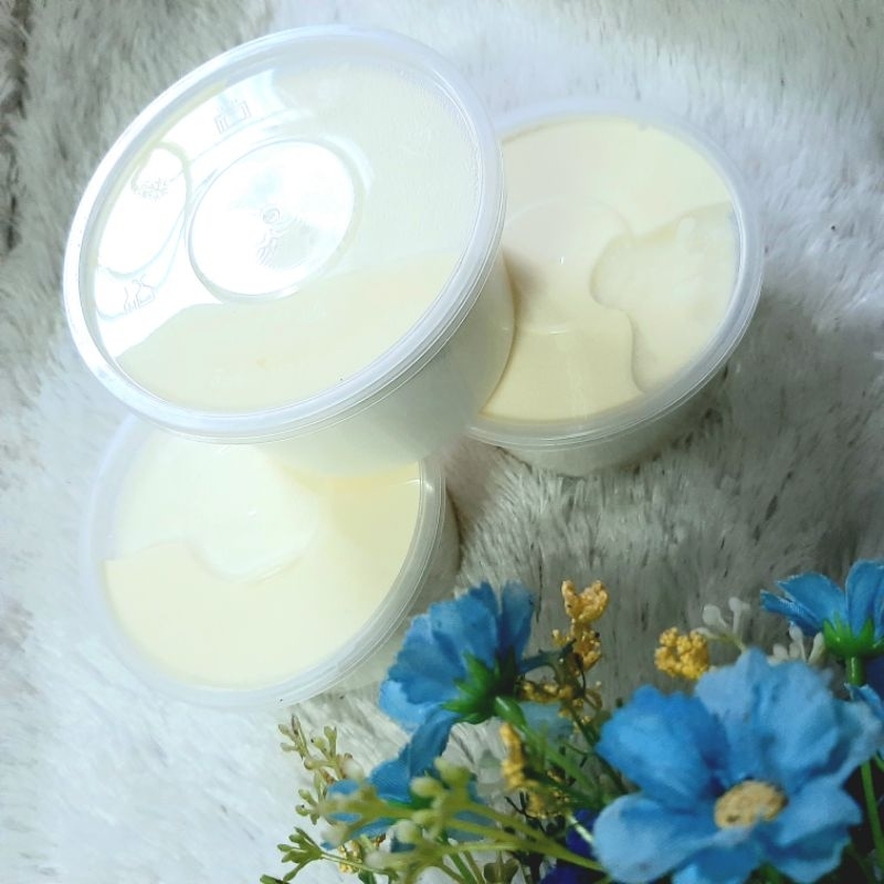 

Yogurt Plain Kemasan 300 ml