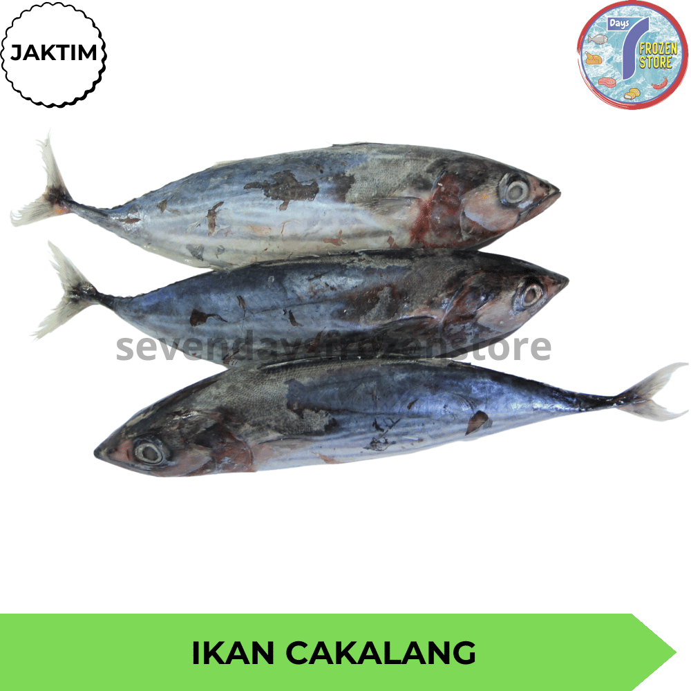 

Ay00! Ikan Cakalang Beku Segar 1 Kg Tanpa Pengawet