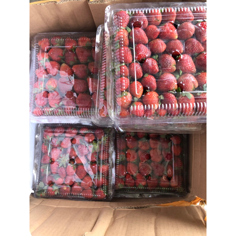 

strawberry manis 1kg