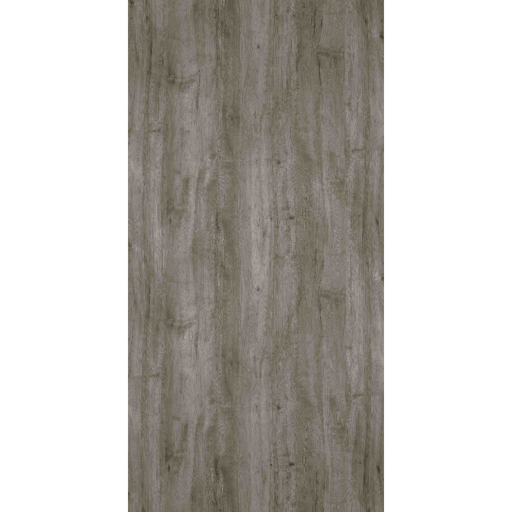 HPL TACO TH 869 J - Bleached Legno