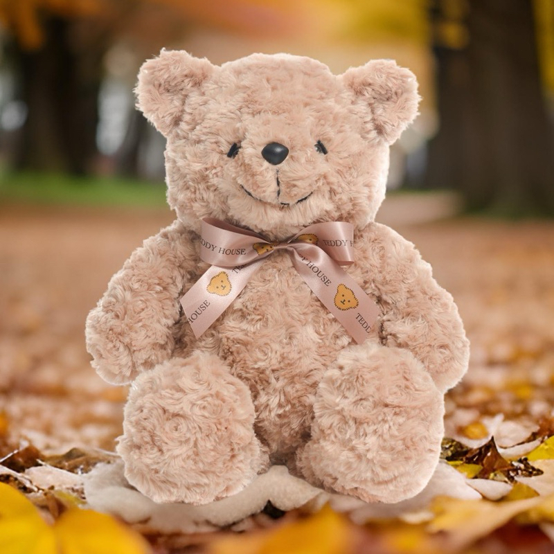 TEDDY HOUSE BEAR MARTIES 25 INCHI