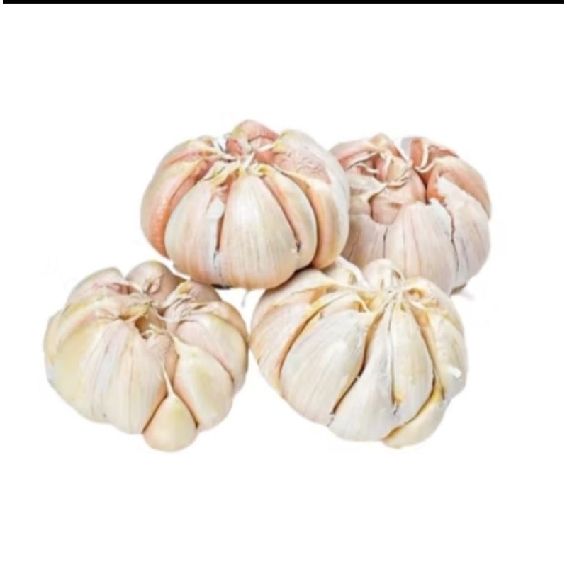 

BAWANG PUTIH 100G