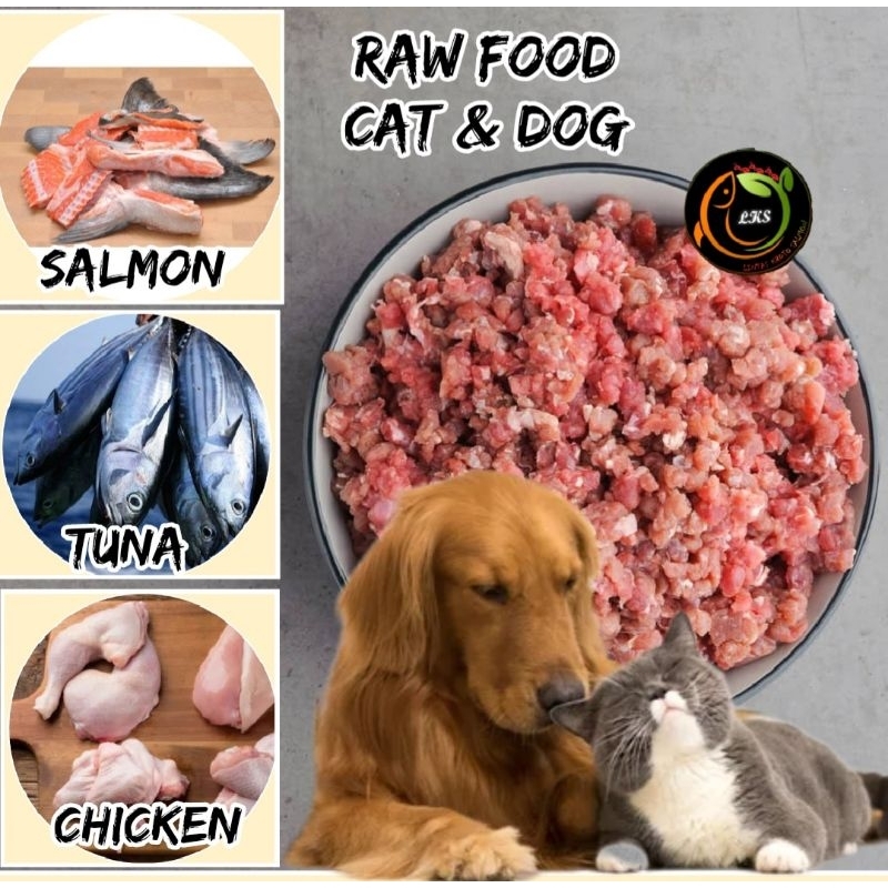 

DAGING GILING - SALMON GILING KASAR - TUNA GILING -AYAM GILING