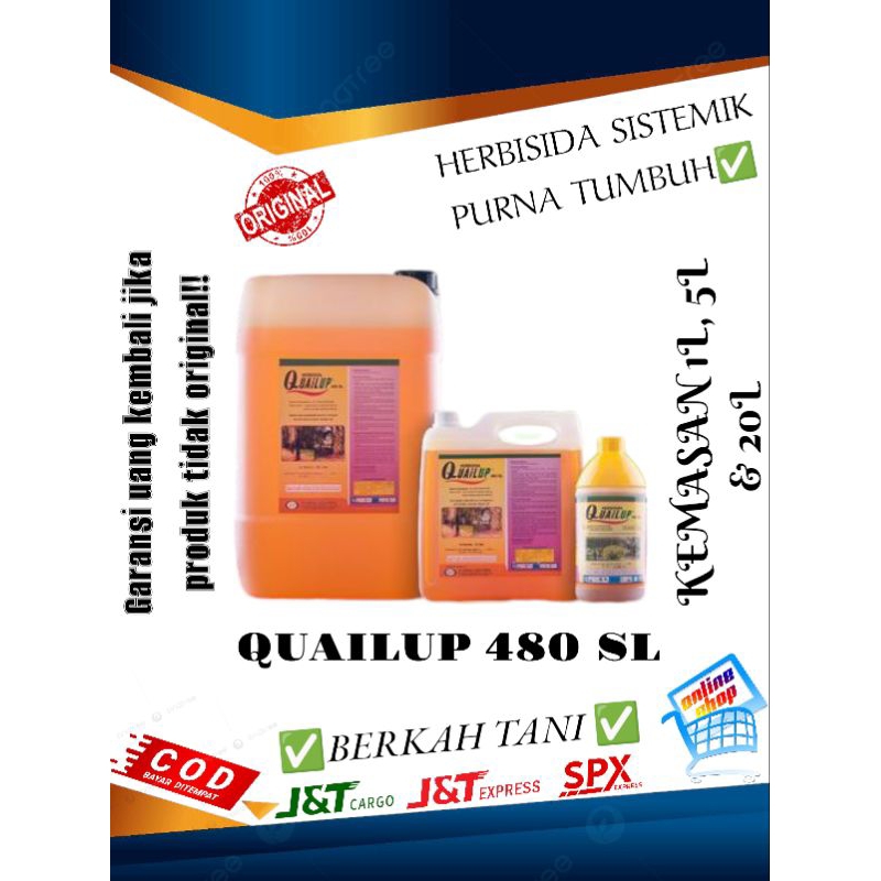 Racun rumput /Herbisida sistemik / obat rumput QUAILUP 480 SL