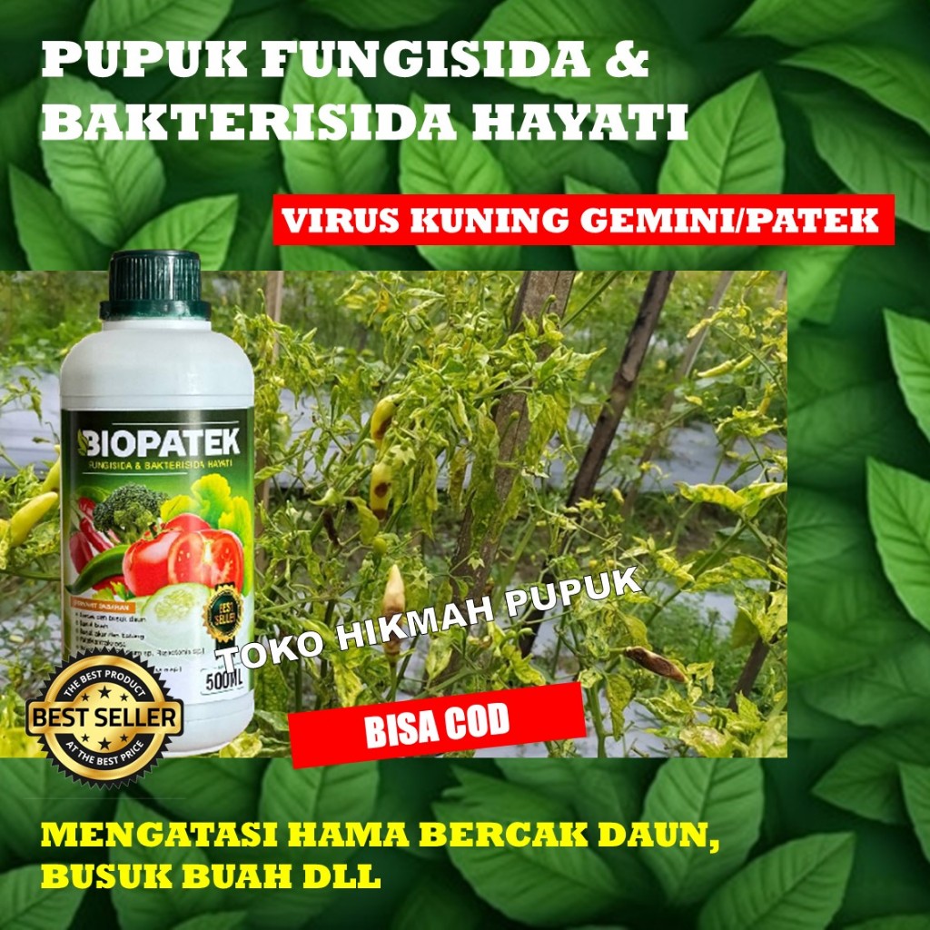 (PROMO) BIOPATEK Fungisida Hayati OBAT VIRUS KUNING GEMINI DAN KERITING DAUN CABE, Tomat, Terong Dll