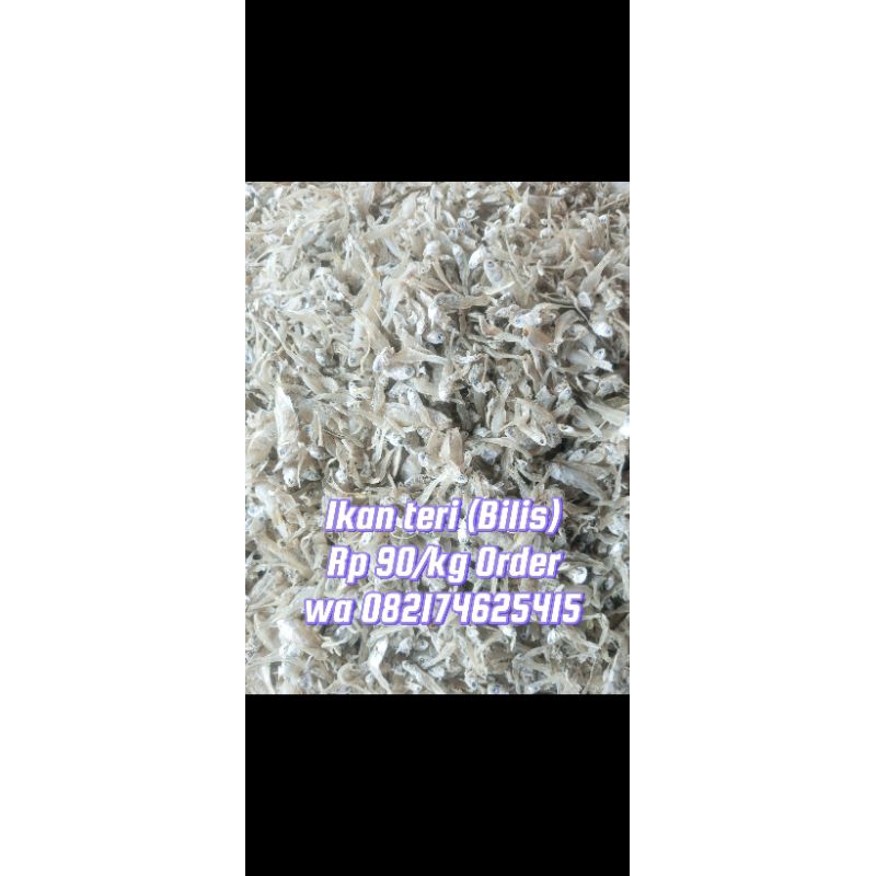 

1 kg Ikan teri Bilis premium