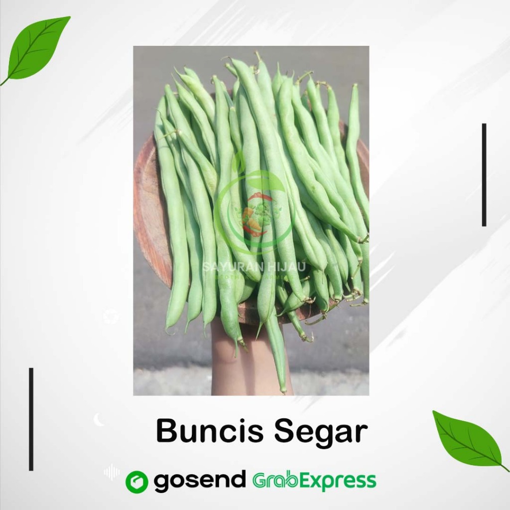 

Buncis Segar Berkualitas 250 grm