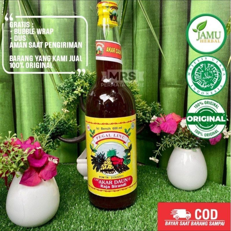 

JAMU AKAR DAUN MANIS 600ml KEMASAN BOTOL PLASTIK 600ml