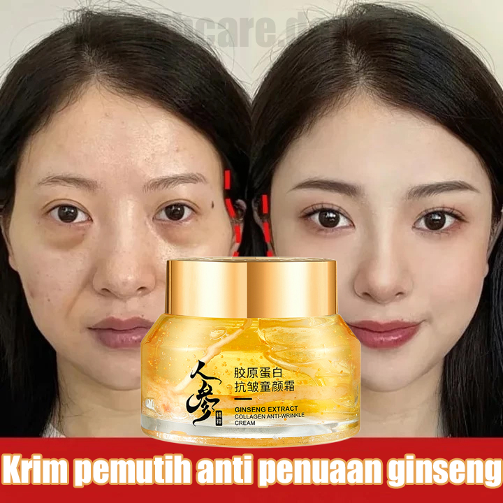 Krim Ginseng Kolagen Cream Anti Aging Anti Kerut Penuaan Penghilang Garis Halus Dan Keriput 50g Krim