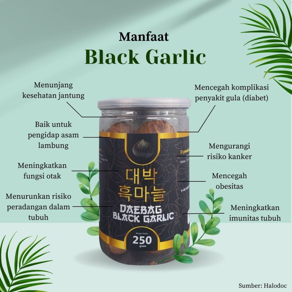 Black Garlic Daebag Bawang Hitam Tunggal Jumbo Asli