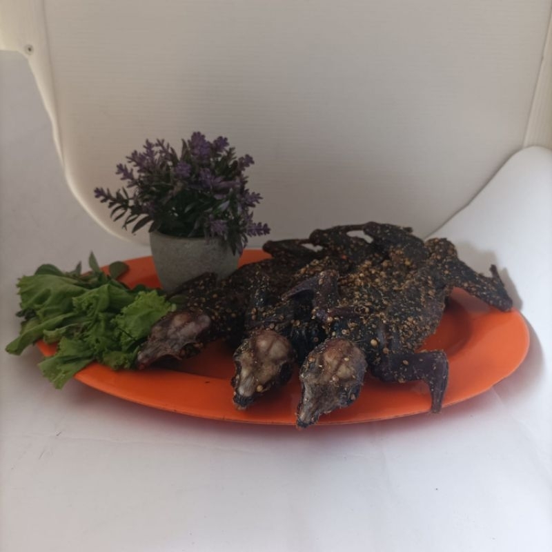 

DEENG DAGING TUPAI OBAT DIABETES