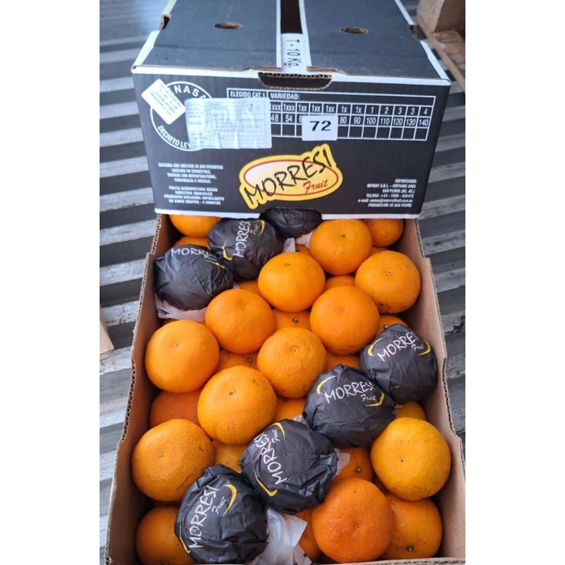 

Jeruk Murcot Argentina 1 Dus (10 KG) Fresh Import