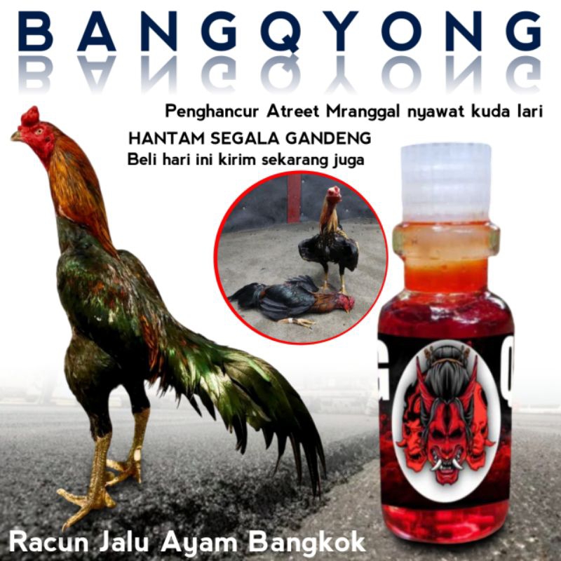 Obat kaki ayam bangkok tedun