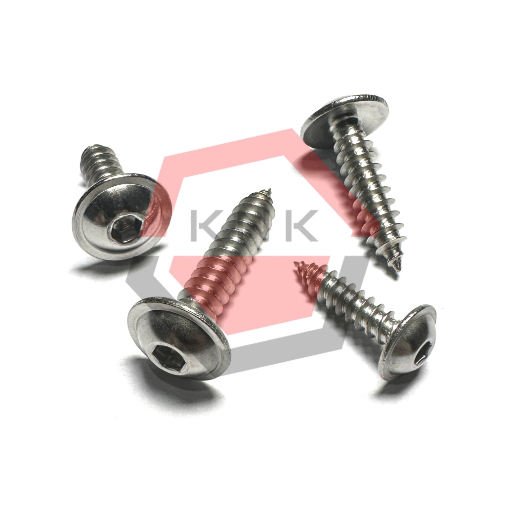 SKRUP BODY MOTOR 5x16 STAINLESS STEEL FLANGE BUTTON HEAD