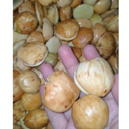 

jengkol kupas 1 kg