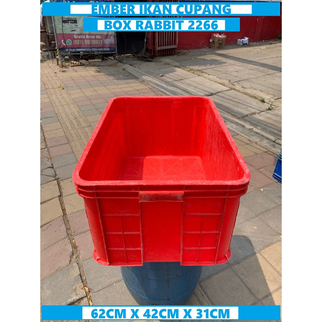 Box Rabbit 2266 Box Tahu Bak Container Bak Kura Kura Magot Bak Ikan