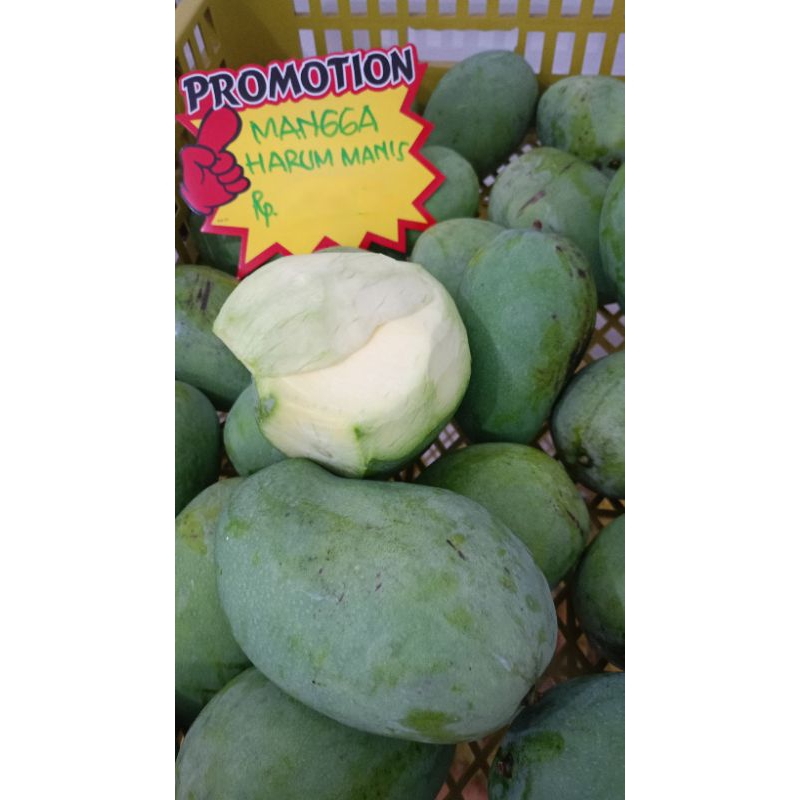 

Mangga Mengkal Harum Manis