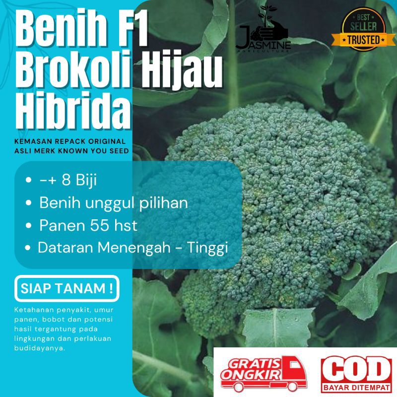 

BIBIT BENIH BROKOLI F1 HIBRIDA