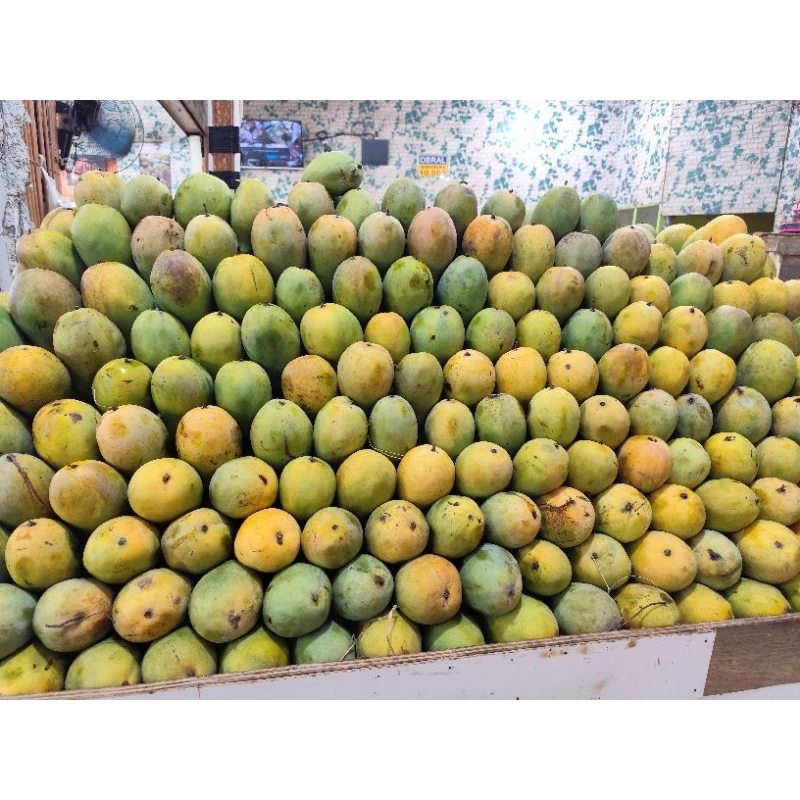 

Mangga harumanis