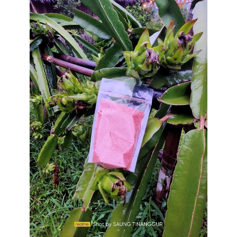 Pupuk buah anti rontok dan pemanis buah