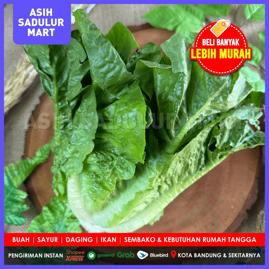 

Selada Romaine 500g Sayur Segar Bandung | Sayuran Asih Sadulur Mart