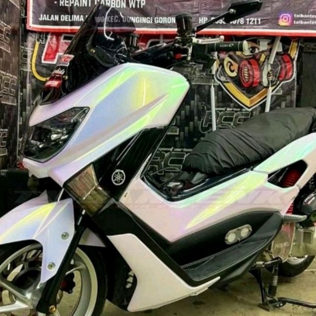 

FG2 Cat Bunglon Putih Pu Chameleon Green Gold Blue