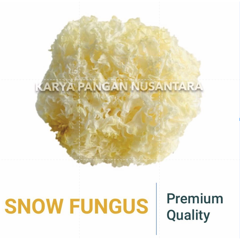 

SNOW FUNGUS JAMUR ES BAI MU ER JAMUR PUTIH JAMUR SALJU KERING PER PCS