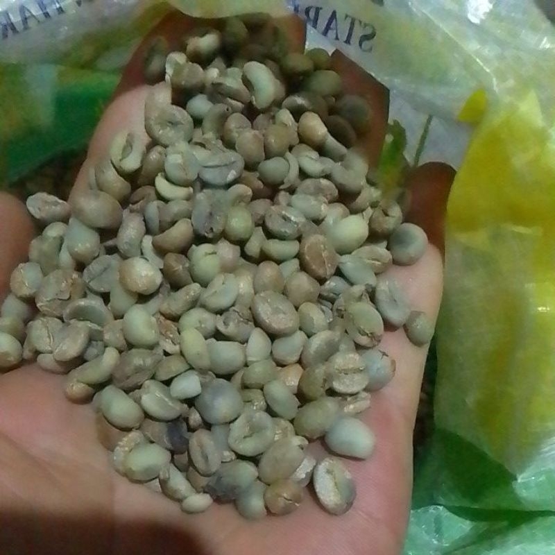 

1000 butir benih biji kopi robusta klon bagio