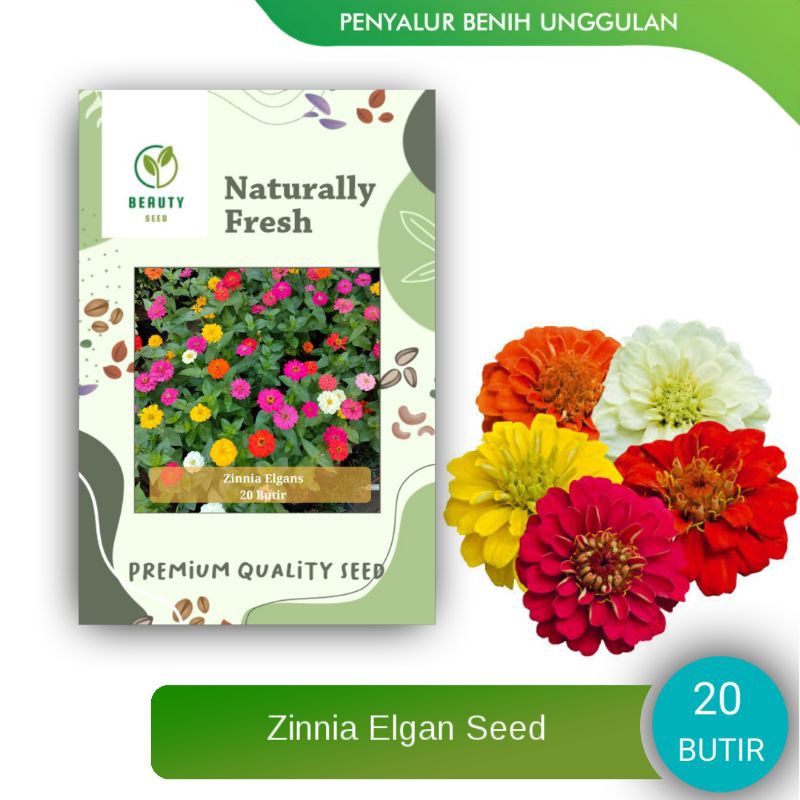 20 Biji Benih Bunga Zinnia Elgan Mix Collor - Zinnia Elgan