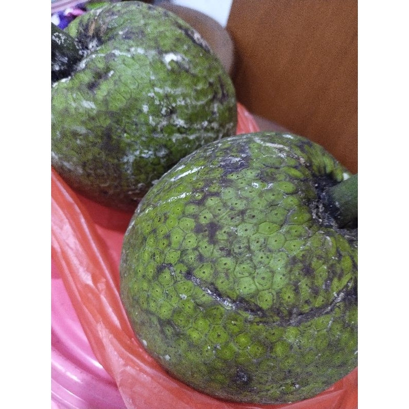 

Sukun per buah mentah