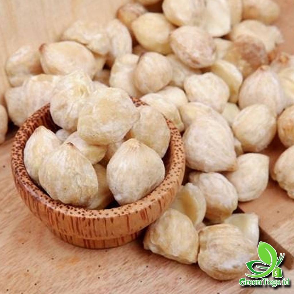 

Miri Kemiri Premium Asli 1 Kg – Bumbu Gurih Berkualitas untuk Masakan Lezat