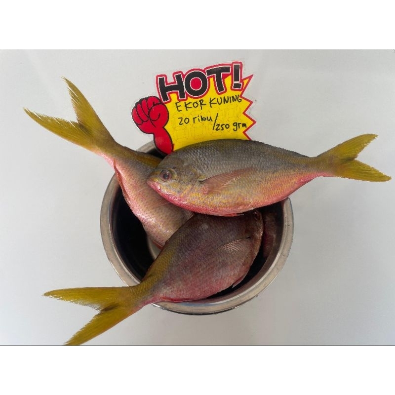 

New seller !!! Ekor kuning 1 kg ikan laut seafood beku Frozen Bekasi instan kurir