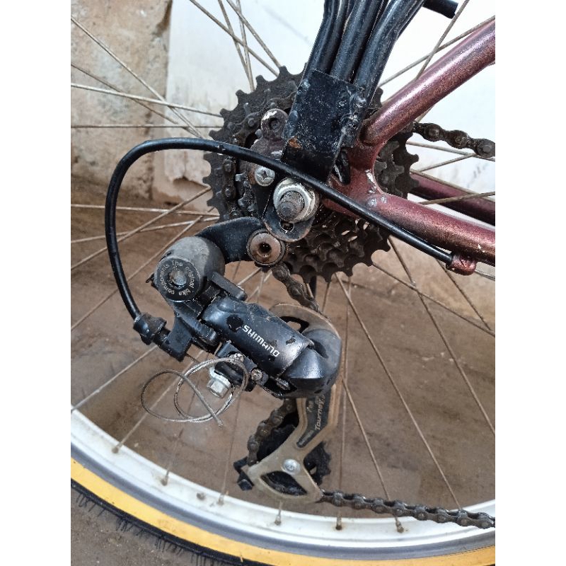 Federal Lady ukuran 26