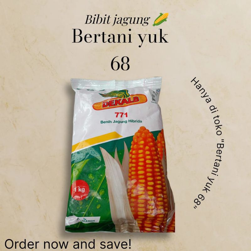 benih jagung hibrida DEKALB 771 kemasan 1kg jaminan original