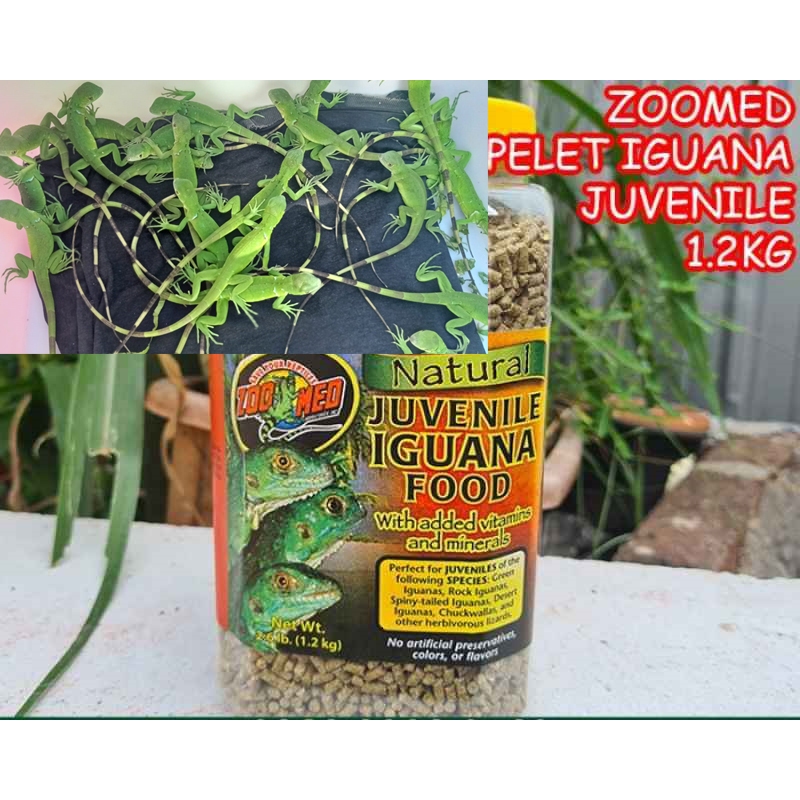 PELET IGUANA RED DAN GREEN MURAH