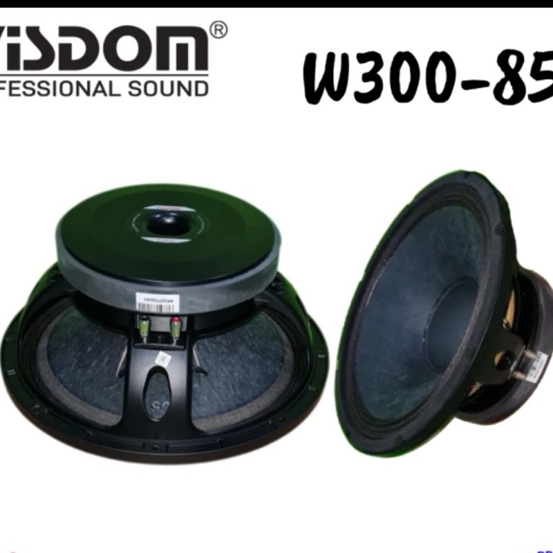 Speaker komponen Wisdom 12 inch " W300-85"