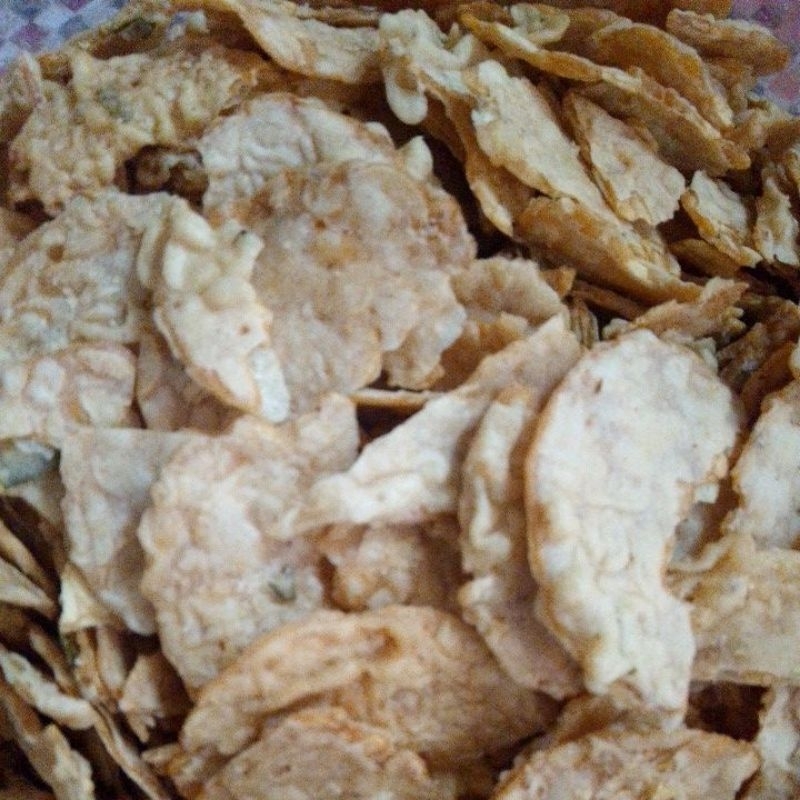 

TEMPI TEPUNG CRISPY REMUKKAN NYA STOK di obral TERBATAS