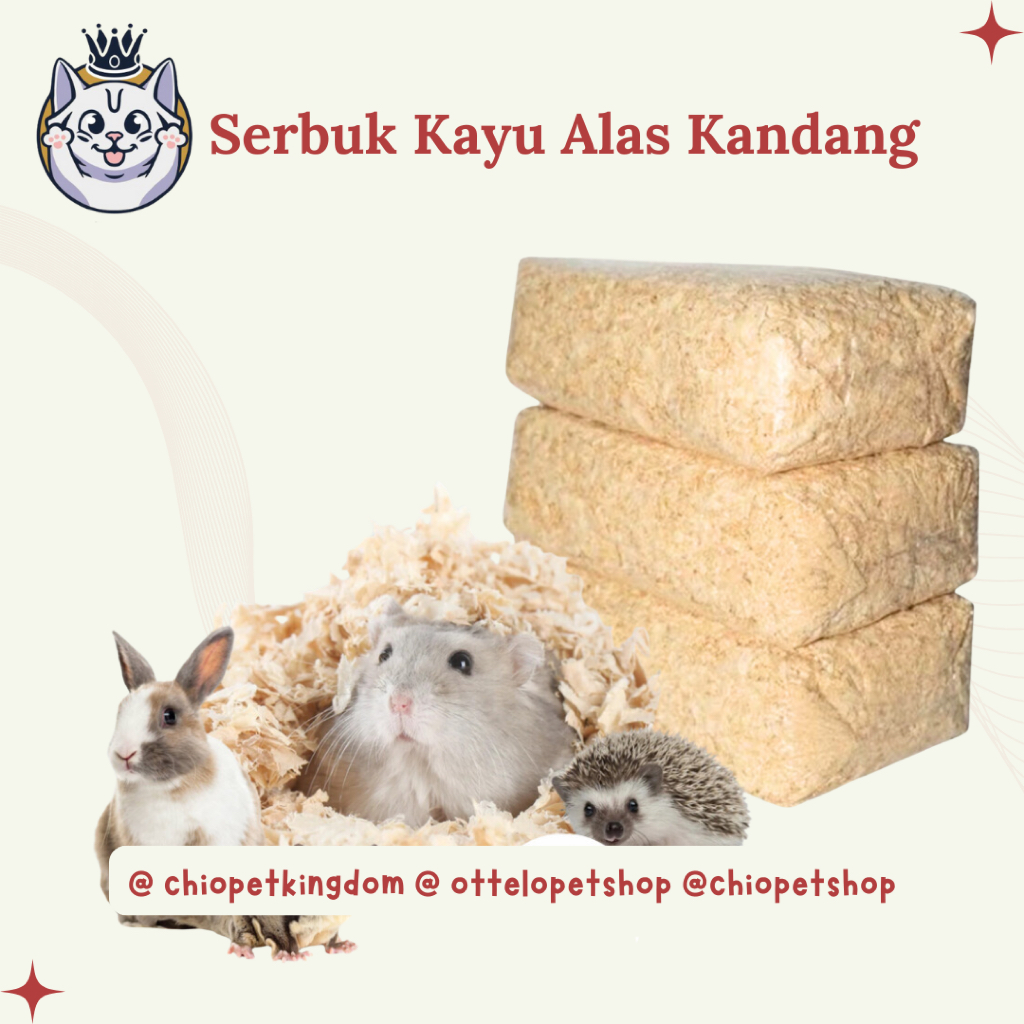Serbuk Kayu Alas Kandang Hamster Sugar Glider Landak Mini Chio Pet Shop