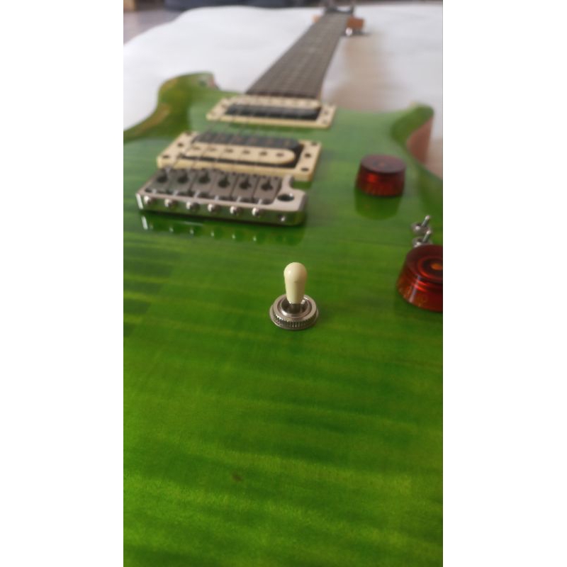PRS se custom 24 08 eriza verde