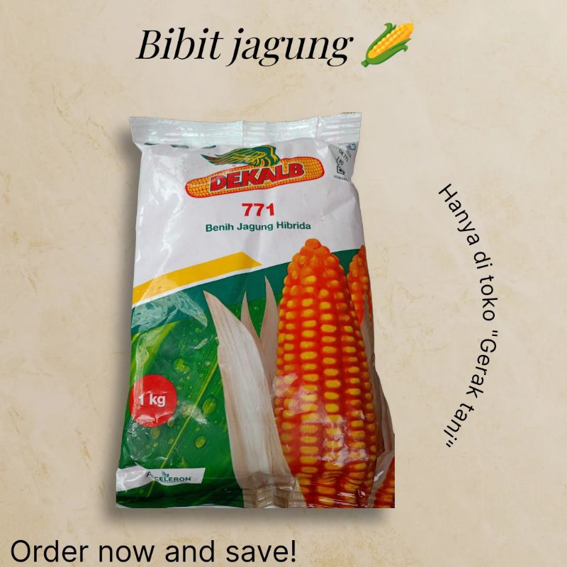 Bibit jagung Dekalb 771 kemasan 1kg