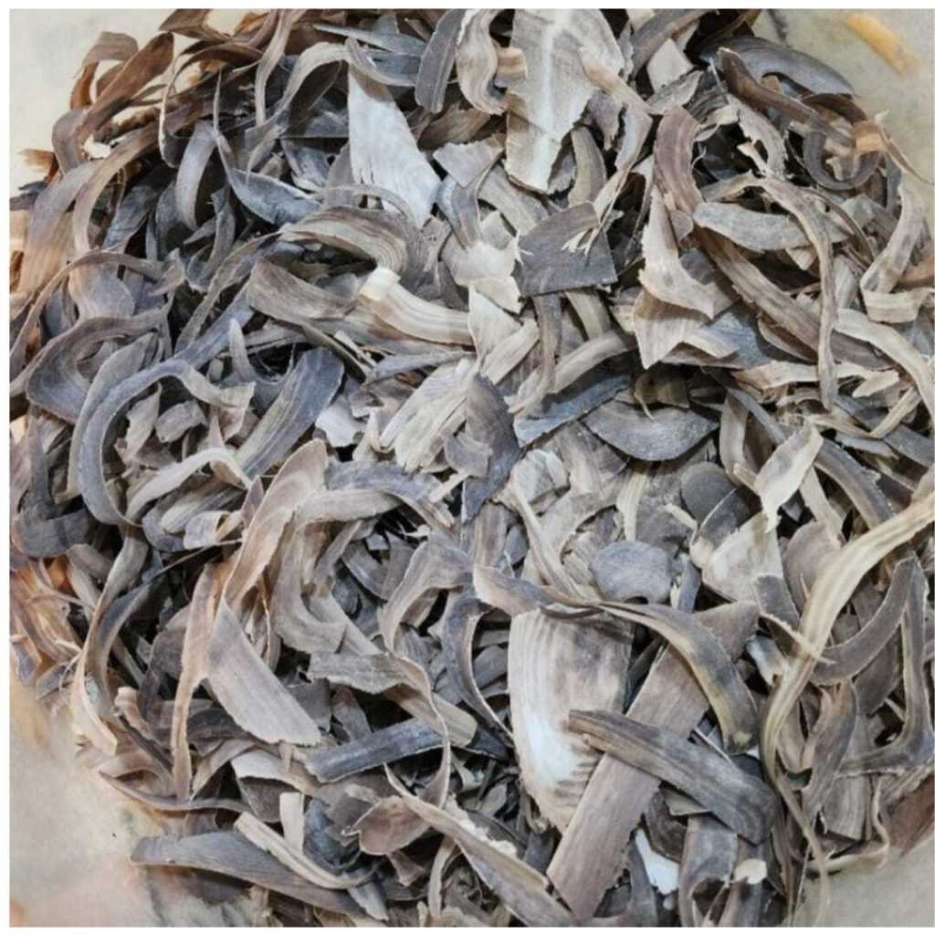 Shui Niu Jiao / Xi Jiao Si - Water Buffalo Horn Cornu Bubali