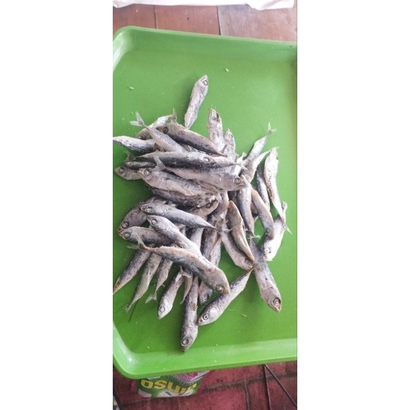 

TongkolRebus/ikan asin rebus/umang rebus/anak tongkol