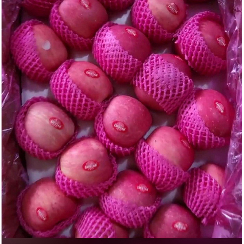 

BUAH APEL FUJI SEGAR