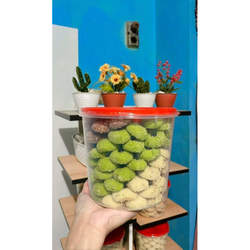 

Monde Rainbow mix/Monde jember meprul idul fitri terlaris